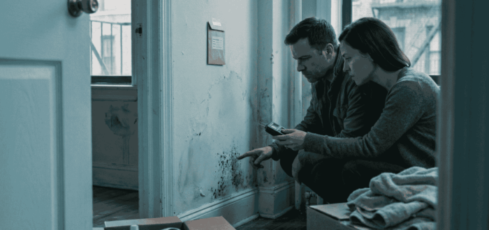 Black Mold Exposure in NYC Apartments