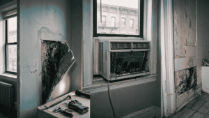 Hidden Mold Problems in NYC Apartments