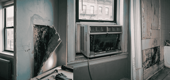 Hidden Mold Problems in NYC Apartments