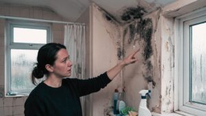 Mistakes Homeowners Make That Cause Mold to Return